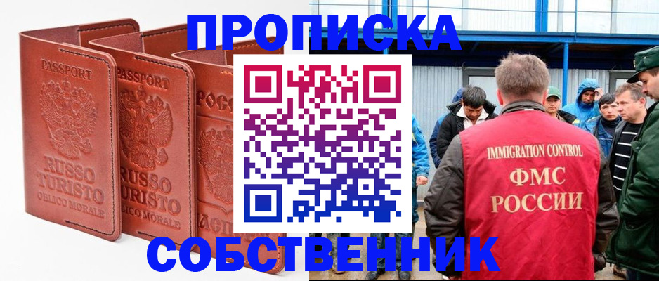 прописка поиск в Котово